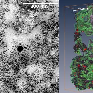 Catalyst layer 3D imaging, modeling and quantification